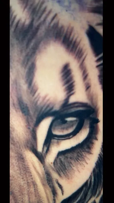 Tatuaje de la mirada del león en espalda, realismo